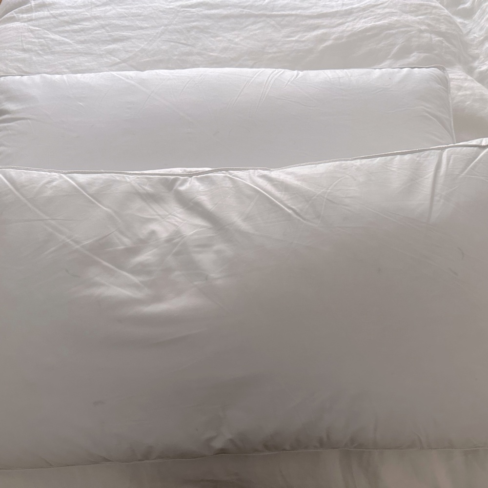 King Goose Down Pillows